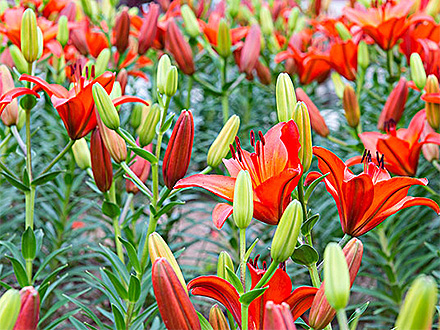 MK体育官网产品展示七