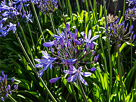 MK体育官网客户案例一