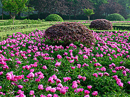 MK体育官网产品展示四